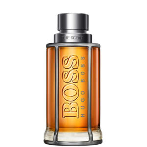 BOSS The Scent for Him Eau de Toilette Spray 100ml