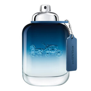 Coach Blue Eau de Toilette Spray 100ml