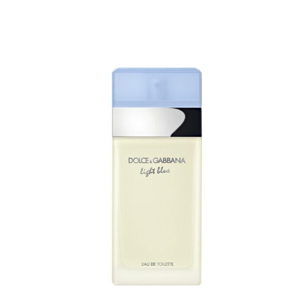 Dolce & Gabbana Light Blue Eau de Toilette Spray 100ml