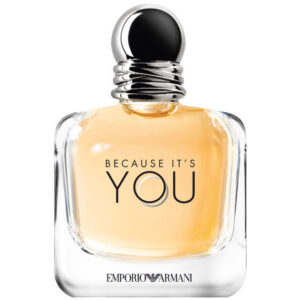 Emporio Armani Because It’s You Eau de Parfum Spray 100ml
